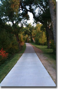 Path of Life