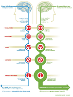 flexible mind vs set mind